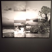 MARIE-FRANCOISE PLISSART. AQUA ARBOR - Botanique -->31/1