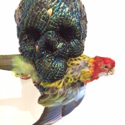 I BELGI, BARBARI e POETI