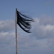 EDYTH DEKYNDT "OMBRE INDIGENE" @ Wiels Brussels-->24/4