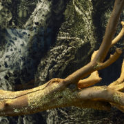 From here to eternity - Maison Particulière --> 30/4