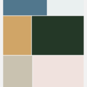 Jan Rosseel Back-up   Dr. Guislain Gent → 28/05/2017