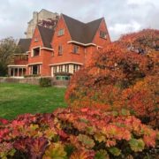 Tantra Paintings  @ Van Buuren -->29/3